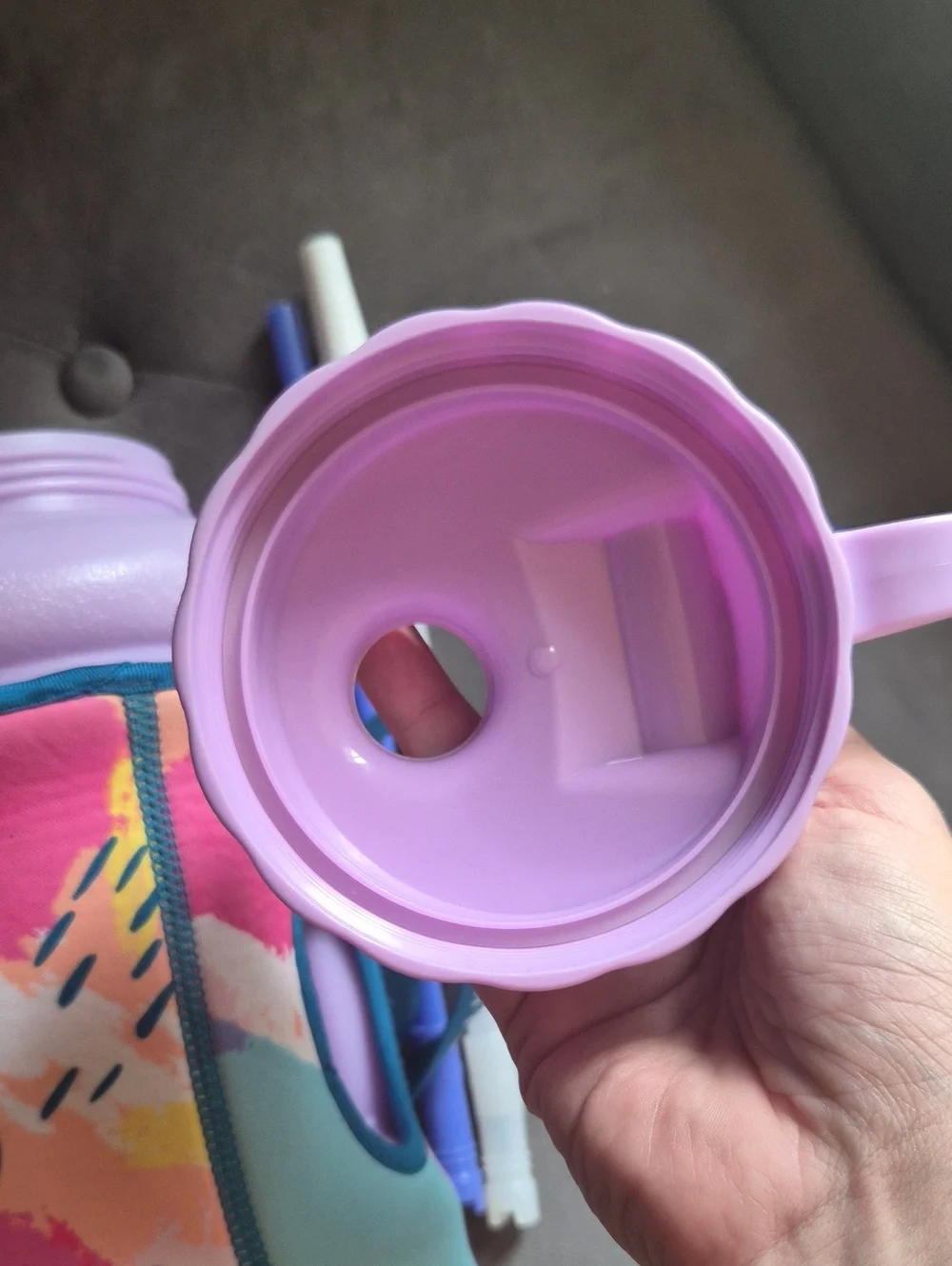HydroJug Pink Lavender Blue Insulated Water Bottle Carrier with Straws and Lid